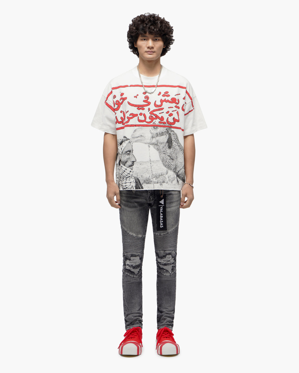 Mr.Biker Grey Skinny Jeans