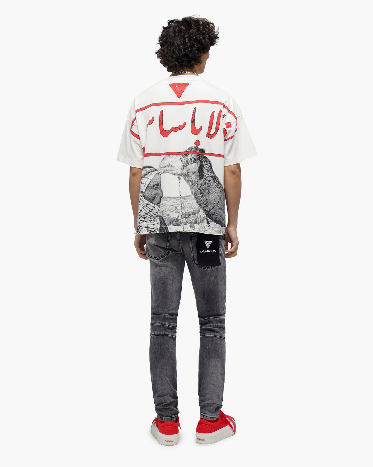 Mr.Biker Grey Skinny Jeans