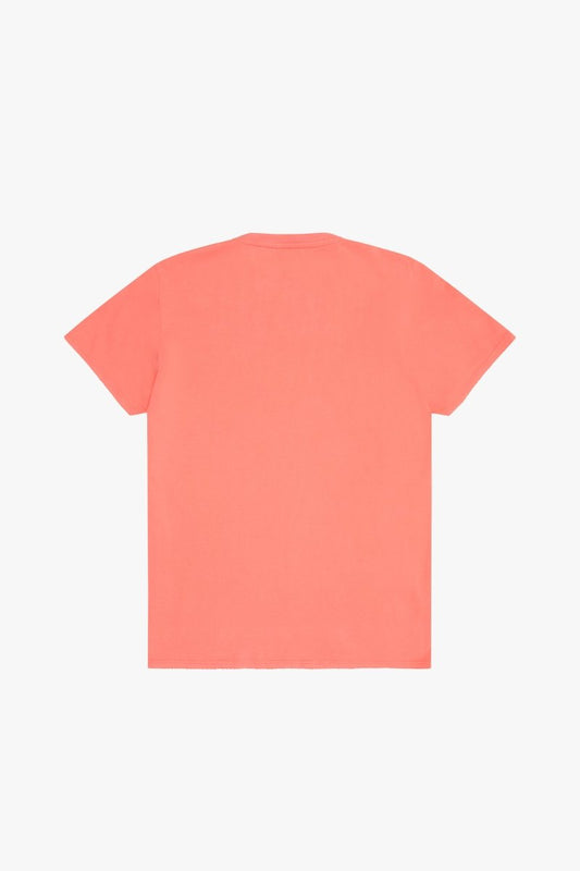 "ANTIQUE CAR SHOW" TEE CAMIELLA - Valabasas