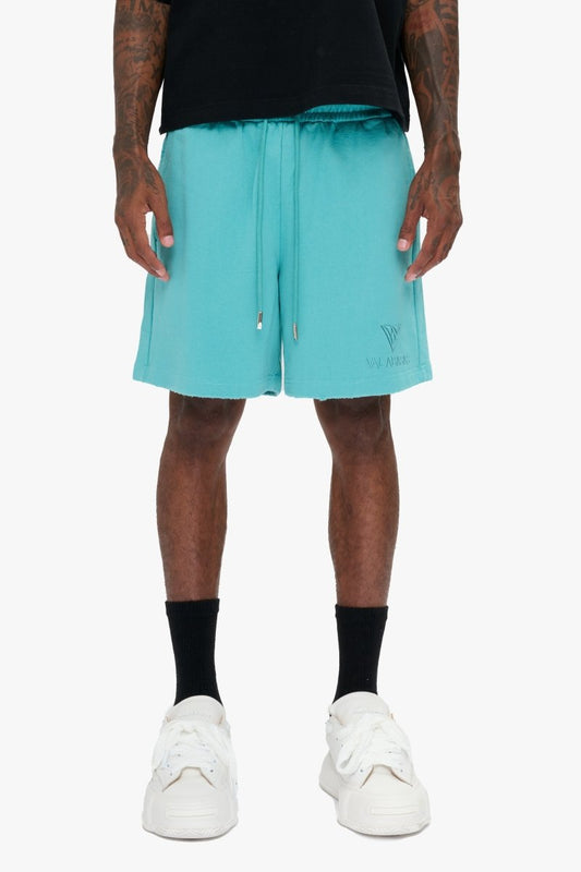 Essential Shorts Turquoise - Valabasas