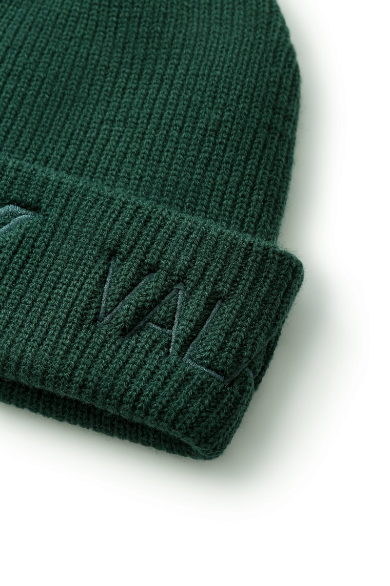 Mr.Beanie Green