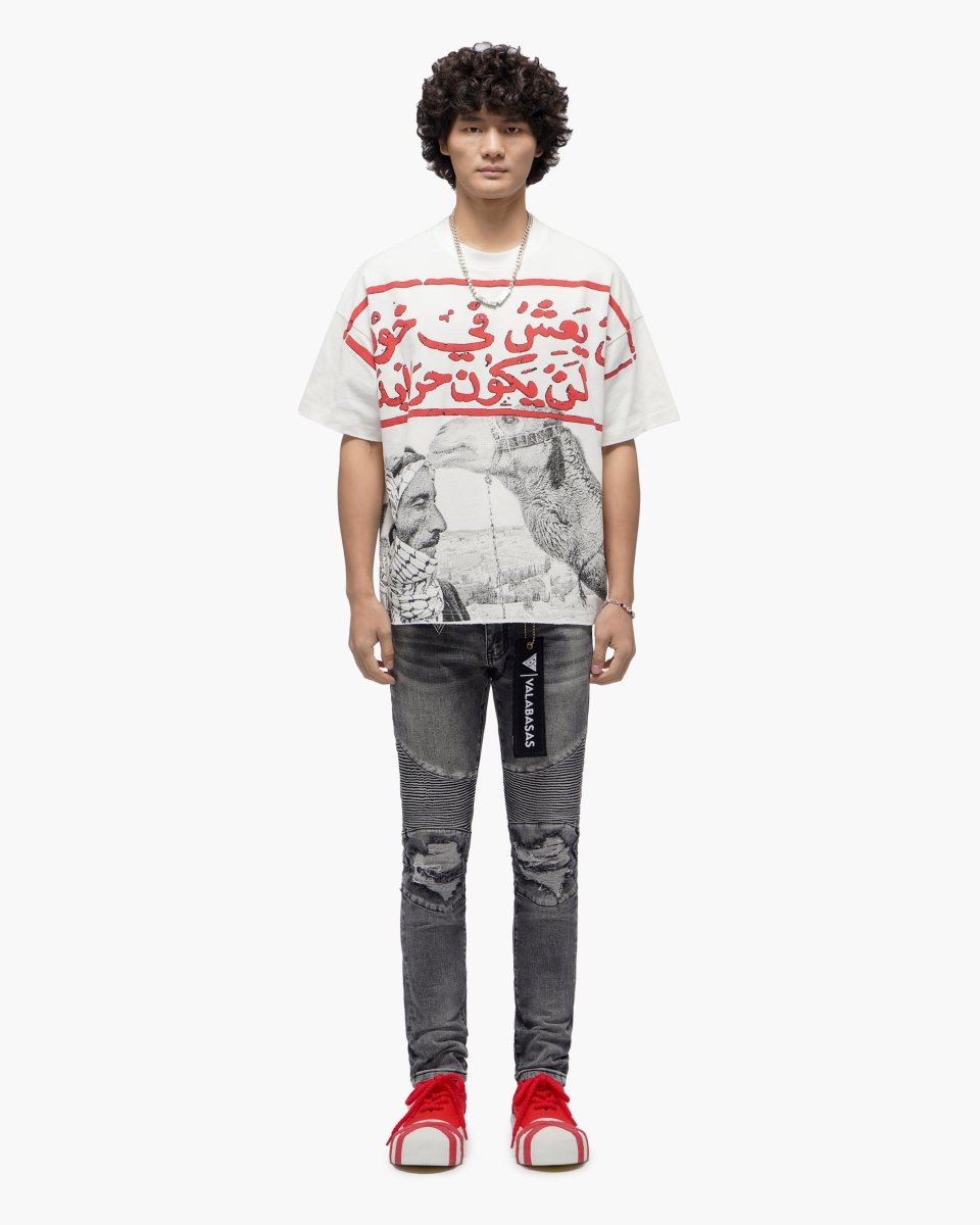 Mr.Biker Grey Skinny Jeans - Valabasas